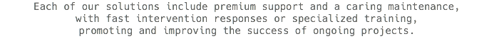 Each of our solutions include premium support and a caring maintenance, with fast intervention responses or specialized training, promoting and improving the success of ongoing projects.